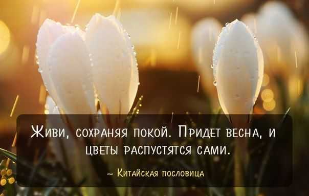 Красивые короткие статусы со смыслом: топ – 100