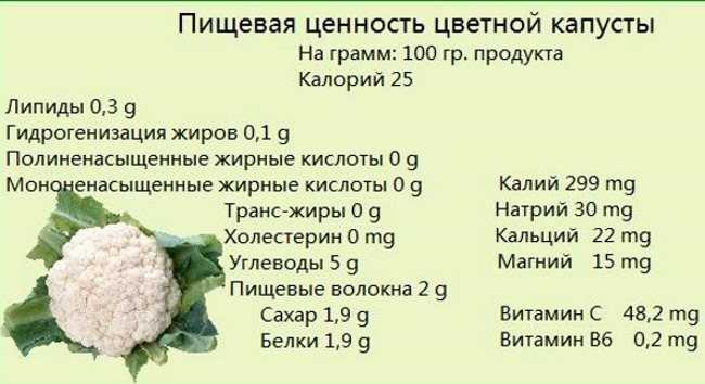 Калорийность цветной капусты: как приготовить правильно, вред цветной капусты и особенности ее применения в рационе питания