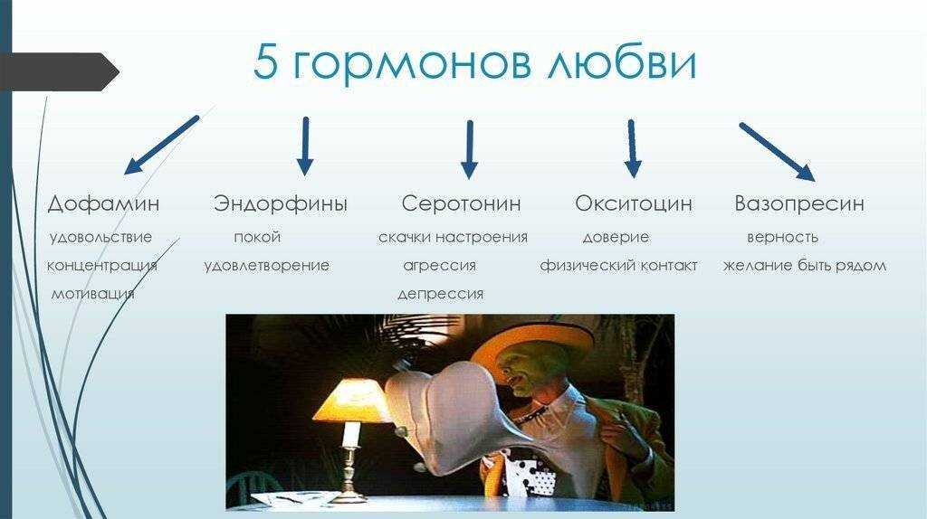 Что такое любовь, и что нельзя путать с любовью?
